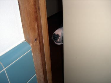 f0094843_10294248.jpg