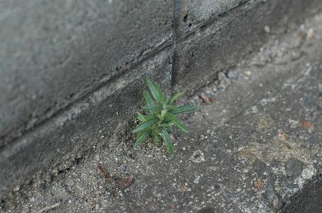 e0015964_23272242.jpg