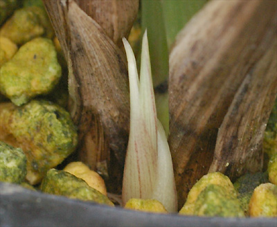 c0068168_10245147.jpg