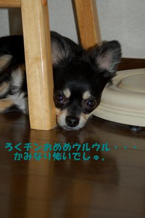 f0065768_21432993.jpg