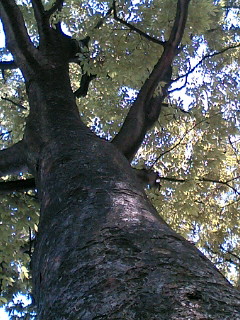 b0032876_2243223.jpg