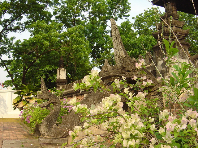 b0034578_113030.jpg