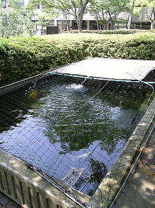 f0004182_2114836.jpg