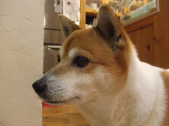 c0069083_032505.jpg