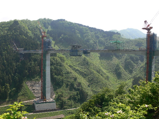 f0103688_226654.jpg