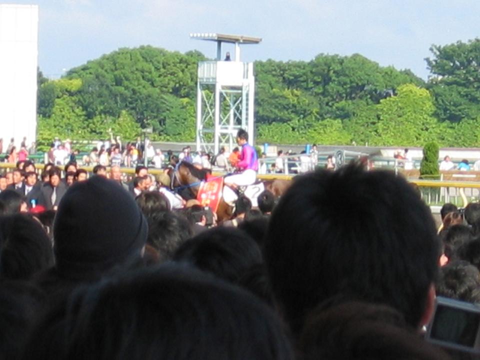 f0010195_23522748.jpg