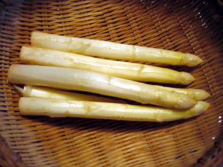 b0006210_21422463.jpg