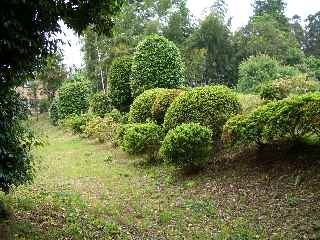 c0051112_7162829.jpg