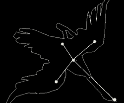 a0055913_041146.gif