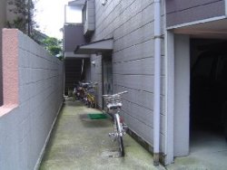 e0003819_13191311.jpg