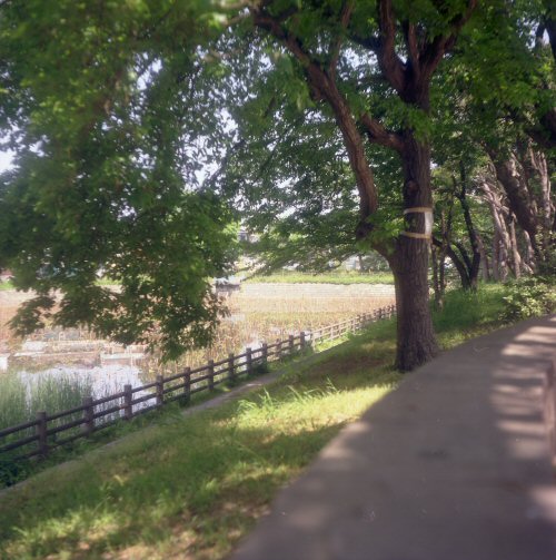 d0032931_0224491.jpg