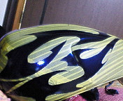 b0011334_1751211.jpg