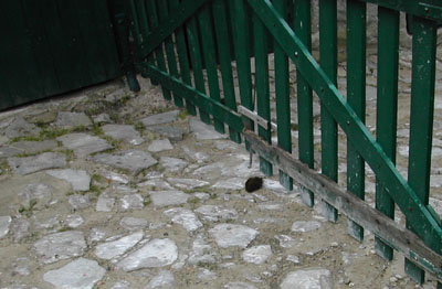 b0069848_59234.jpg