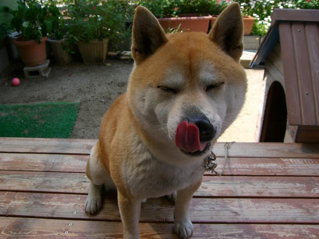 f0099148_1644342.jpg