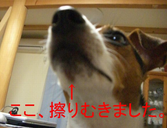 f0053952_12174916.jpg