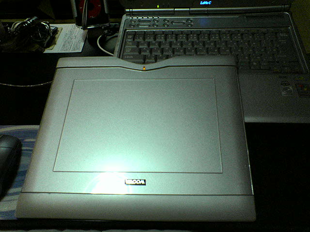d0021258_2315421.jpg
