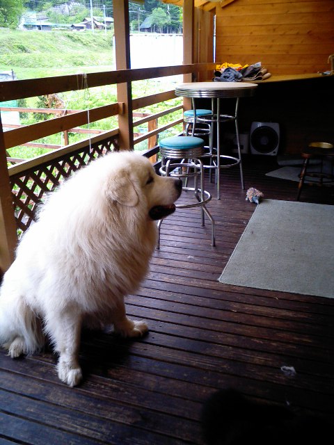 f0046262_21303526.jpg