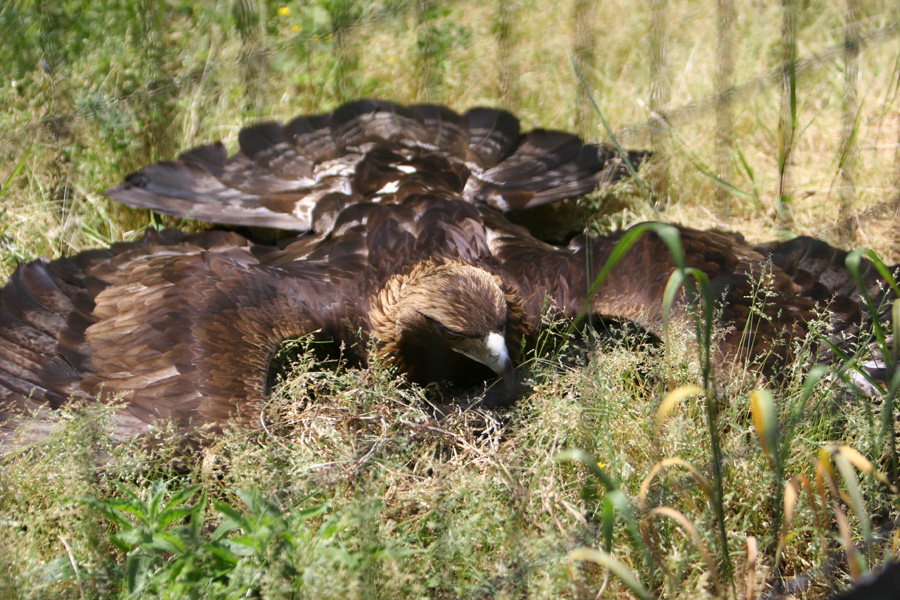 e0060169_2055653.jpg