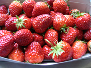 d0050871_19462420.jpg