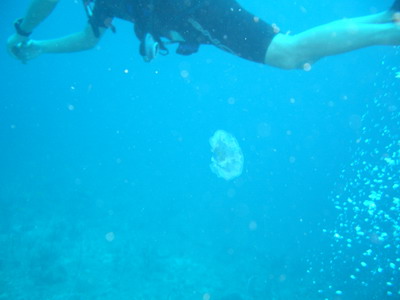 a0002177_21304441.jpg