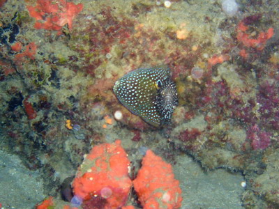 a0002177_21343283.jpg