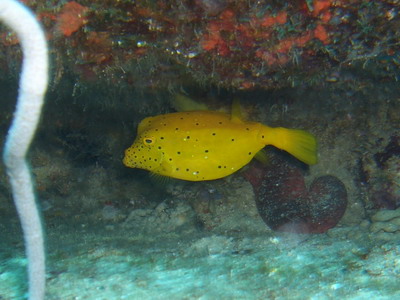 a0002177_21433438.jpg