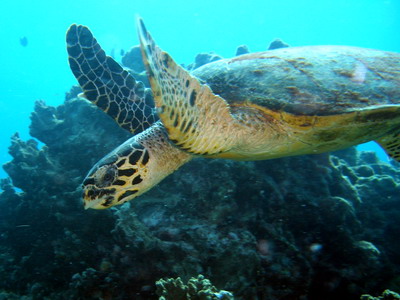 a0002177_2344121.jpg