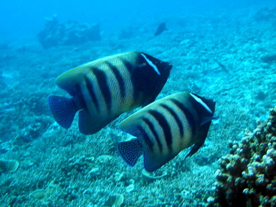 a0002177_23441955.jpg