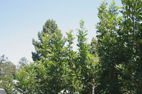 c0033994_1004343.jpg