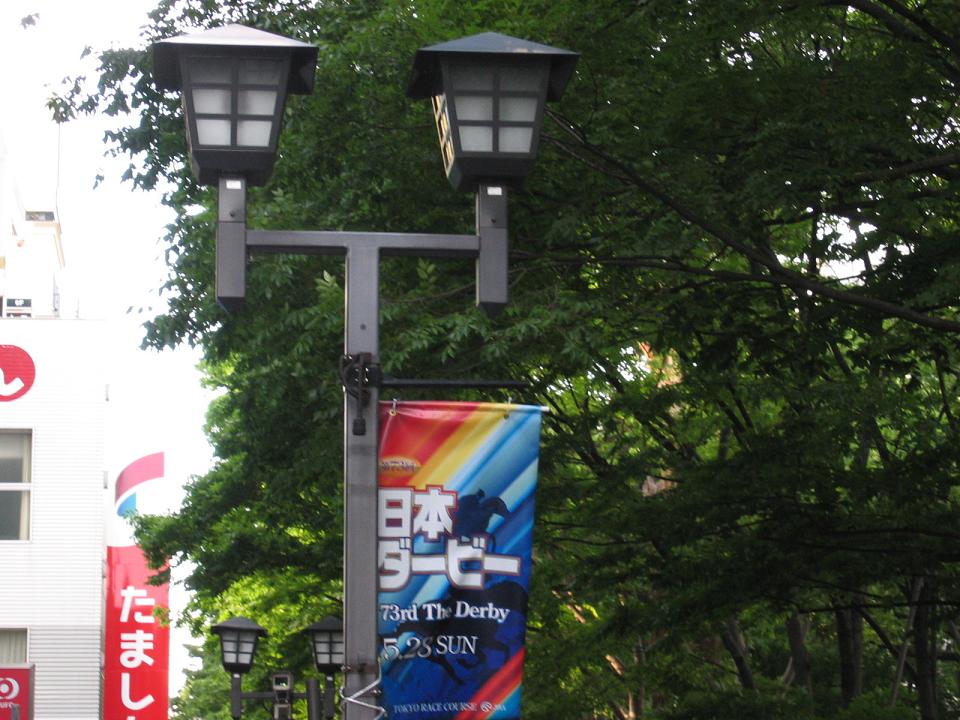f0010195_074130.jpg