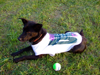 f0001698_3104218.jpg