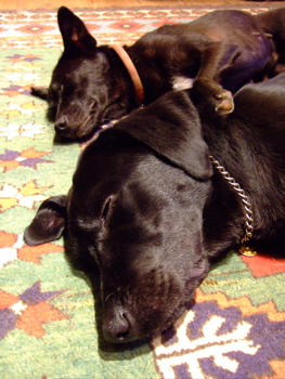 f0001698_3133920.jpg