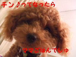a0007906_912922.jpg