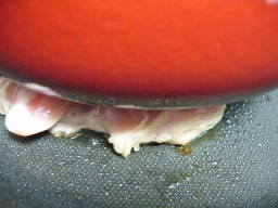 d0003606_8523830.jpg
