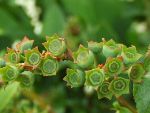 f0041606_20582257.jpg