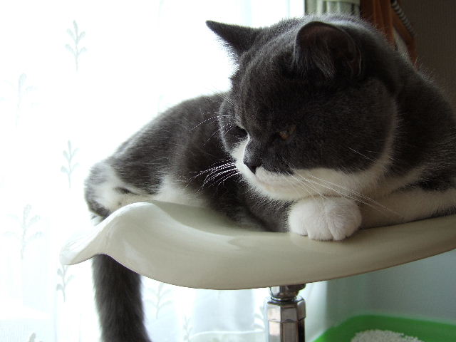 f0032020_133301.jpg