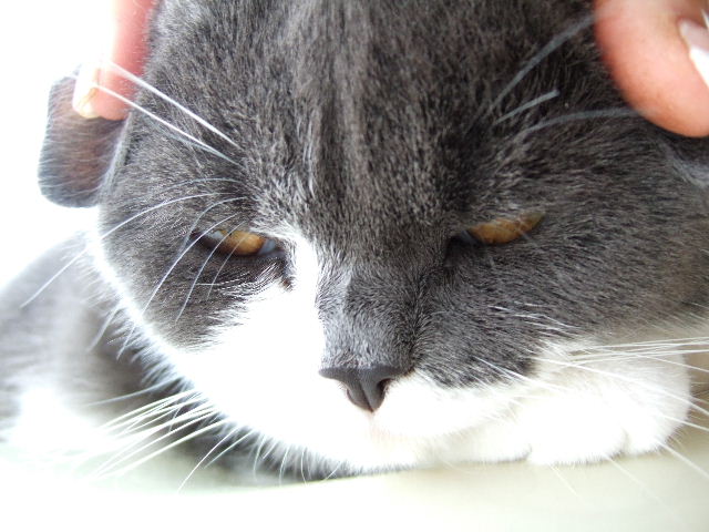 f0032020_13333649.jpg