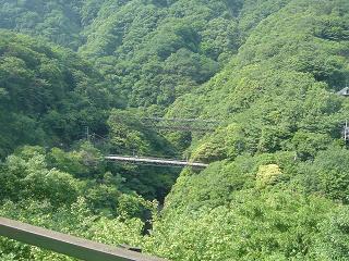 f0000521_19165332.jpg