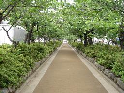f0000521_20472571.jpg