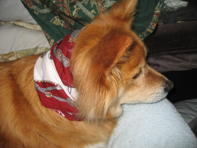 c0030624_2246888.jpg
