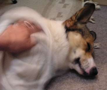 e0071225_2133740.jpg