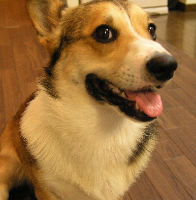 e0071225_2134443.jpg