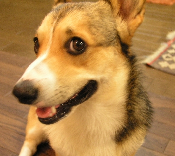 e0071225_2135748.jpg