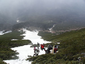 a0049226_041292.jpg