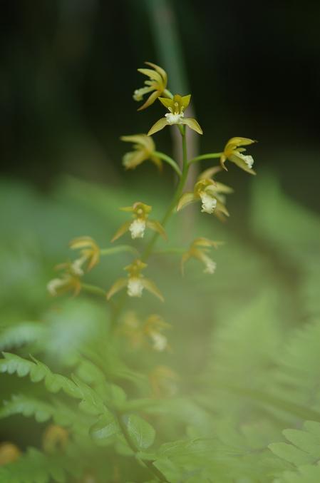 b0039226_915355.jpg