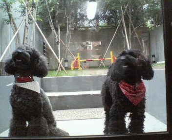 f0076529_043383.jpg