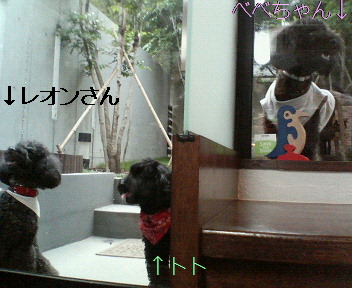 f0076529_0504152.jpg