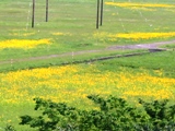 e0048933_1919453.jpg