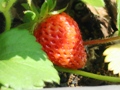 e0048933_1951539.jpg