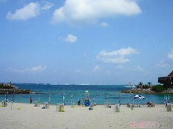 a0046339_2314489.jpg